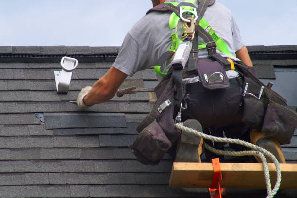 Best Local Roofing Companies  in Hanamaulu, HI