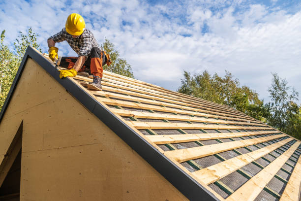 Best Roof Repair Services  in Hanamaulu, HI
