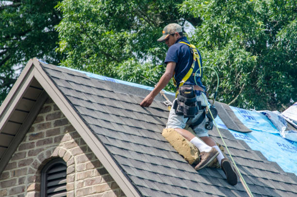 Quick and Trustworthy Emergency Roof Repair Services in Hanamaulu, HI
